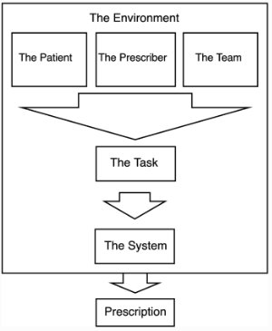 Conceptual figure of the interaction of the six major themes leading to the production of a prescription