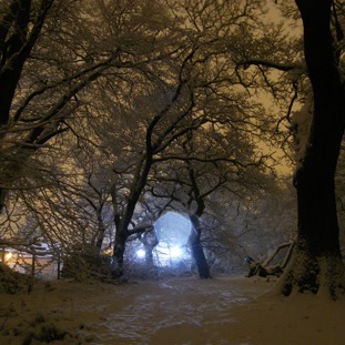 night-in-the-snow_4249667204_o.jpg